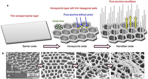  Alumina Nanofibers: Revolutionizing Filtration and Catalysis with Microscopic Marvels!