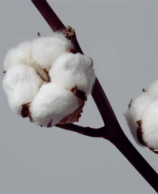 Sea Island Cotton: Een Verkenning van zijn Luxueuze Eigenschappen en Toepassingen in de Textielindustrie